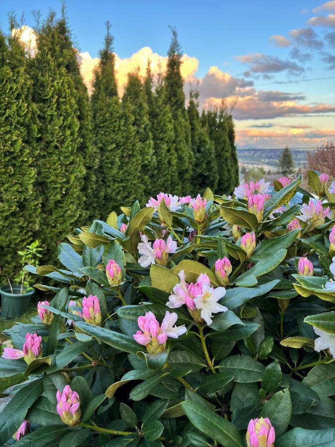 Lovely J Home -Stunning River View Cozy Two Bedroom Private Suite New Westminster Exteriör bild
